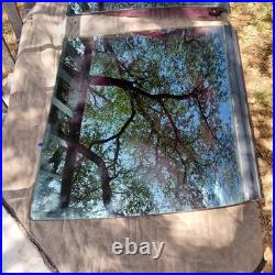 1980s GM T-Tops Cutlass Regal Monte Carlo Grand Prix