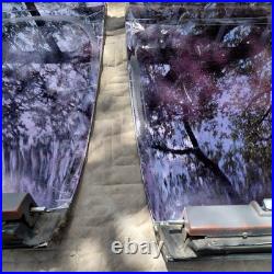 1980s GM T-Tops Cutlass Regal Monte Carlo Grand Prix