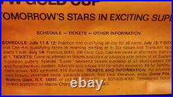 Vintage Poster 1974 Five Star Race Watkins Glen 22x28Formula One Michael Turner